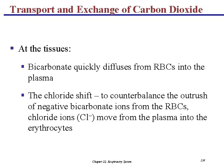 Transport and Exchange of Carbon Dioxide § At the tissues: § Bicarbonate quickly diffuses