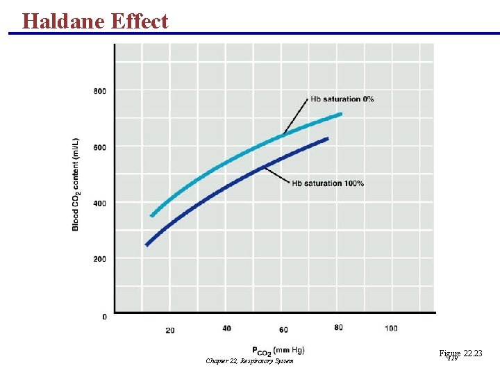 Haldane Effect Chapter 22, Respiratory System Figure 22. 23 119 