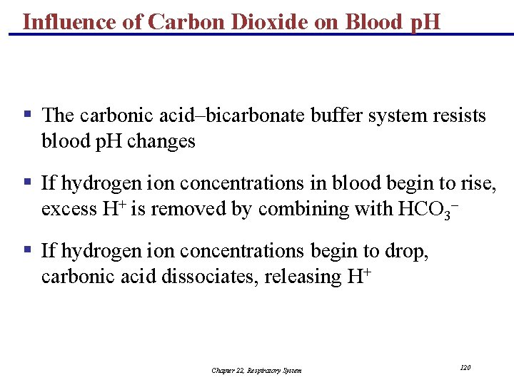 Influence of Carbon Dioxide on Blood p. H § The carbonic acid–bicarbonate buffer system