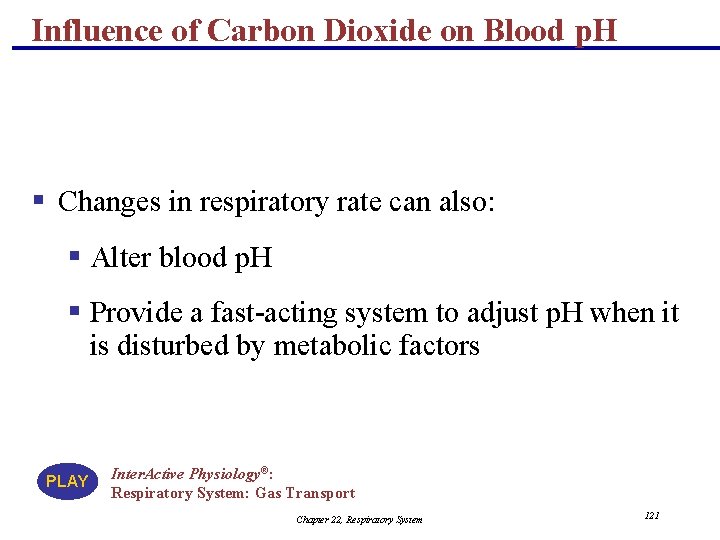 Influence of Carbon Dioxide on Blood p. H § Changes in respiratory rate can