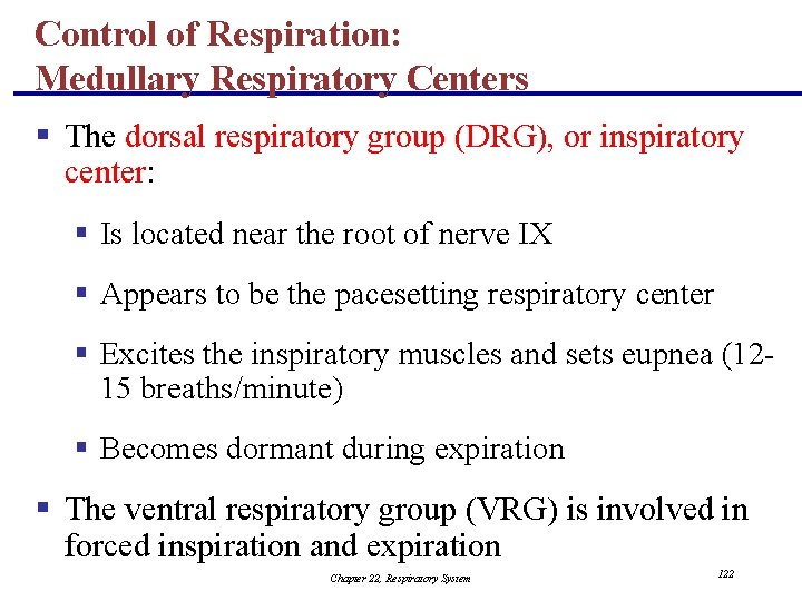 Control of Respiration: Medullary Respiratory Centers § The dorsal respiratory group (DRG), or inspiratory