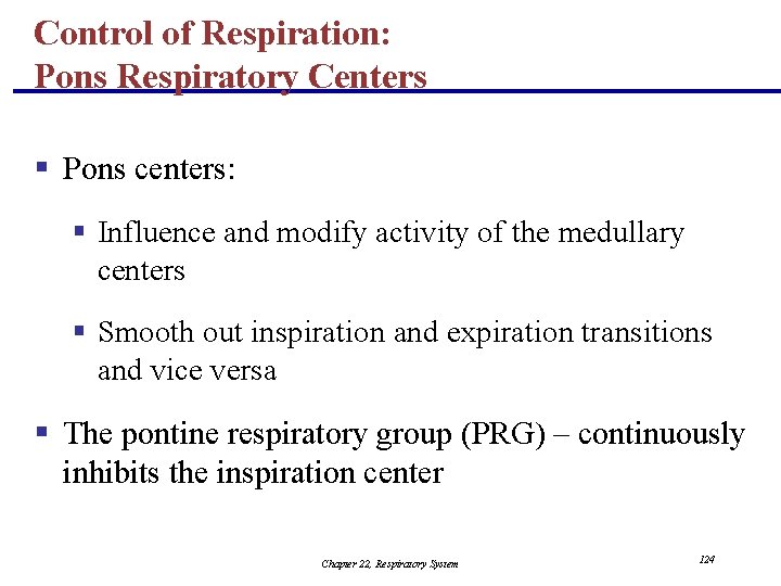 Control of Respiration: Pons Respiratory Centers § Pons centers: § Influence and modify activity