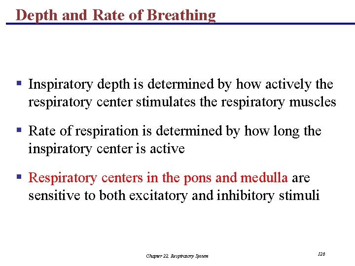 Depth and Rate of Breathing § Inspiratory depth is determined by how actively the