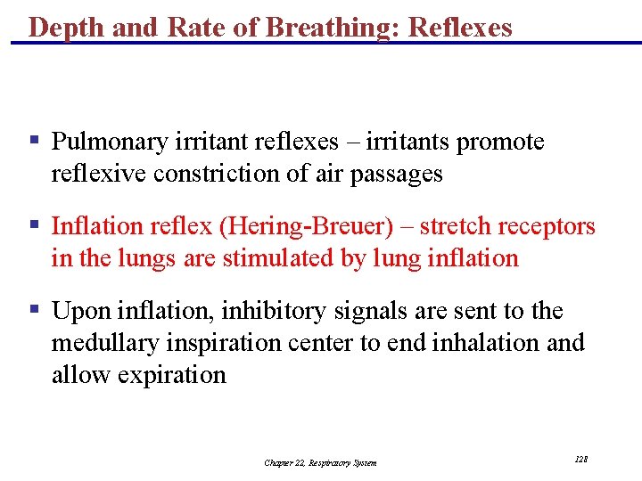 Depth and Rate of Breathing: Reflexes § Pulmonary irritant reflexes – irritants promote reflexive