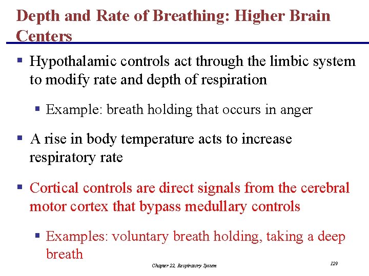 Depth and Rate of Breathing: Higher Brain Centers § Hypothalamic controls act through the