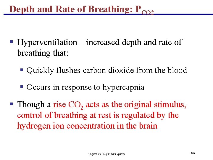 Depth and Rate of Breathing: PCO 2 § Hyperventilation – increased depth and rate