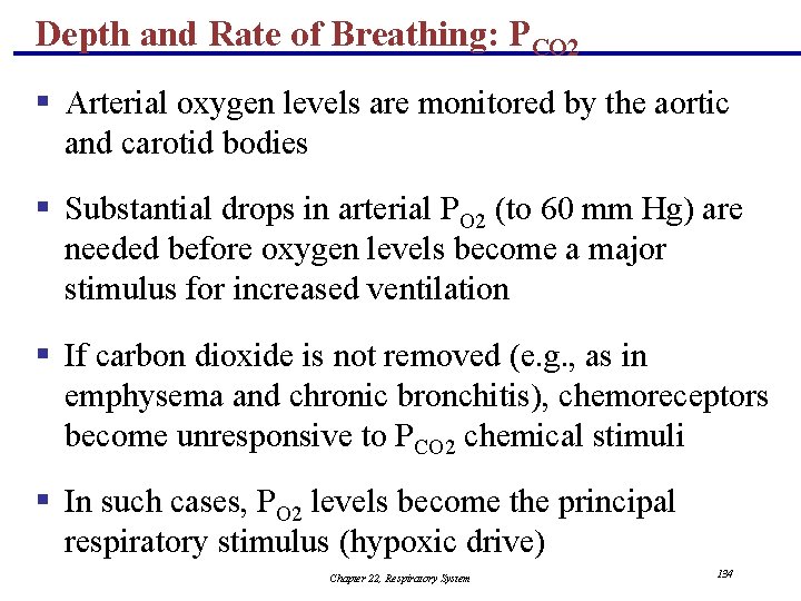 Depth and Rate of Breathing: PCO 2 § Arterial oxygen levels are monitored by