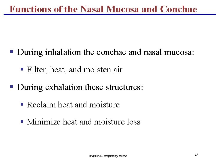 Functions of the Nasal Mucosa and Conchae § During inhalation the conchae and nasal