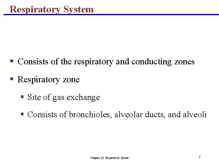 Respiratory System § Consists of the respiratory and conducting zones § Respiratory zone §