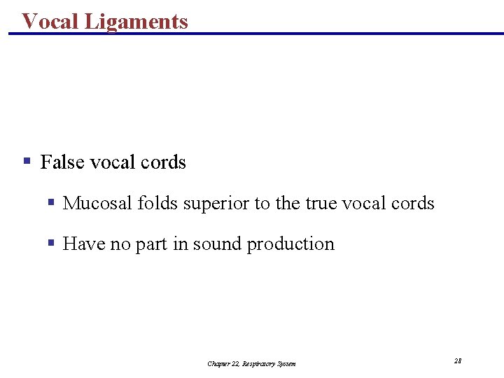 Vocal Ligaments § False vocal cords § Mucosal folds superior to the true vocal