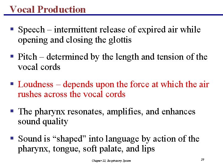 Vocal Production § Speech – intermittent release of expired air while opening and closing