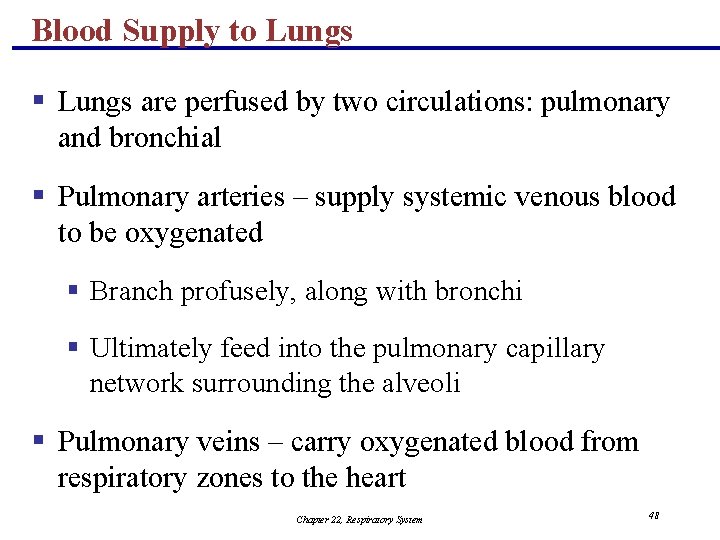 Blood Supply to Lungs § Lungs are perfused by two circulations: pulmonary and bronchial