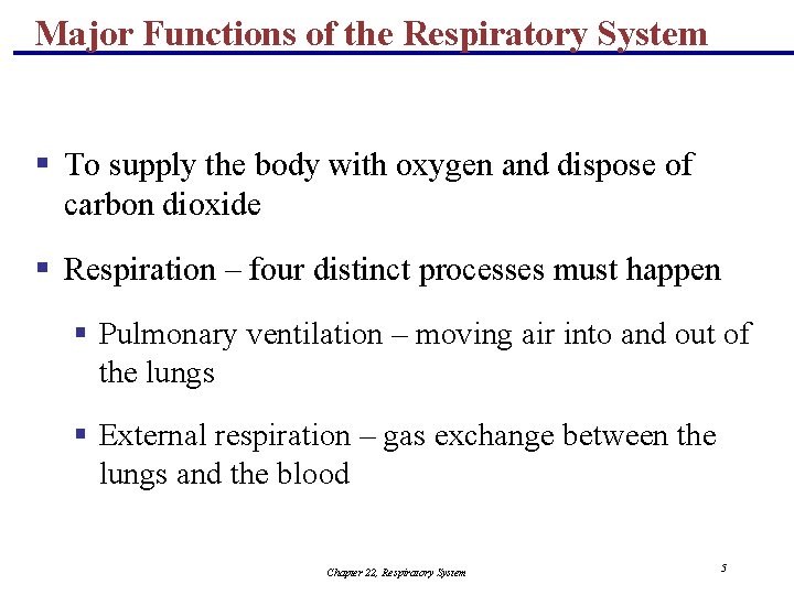 Major Functions of the Respiratory System § To supply the body with oxygen and