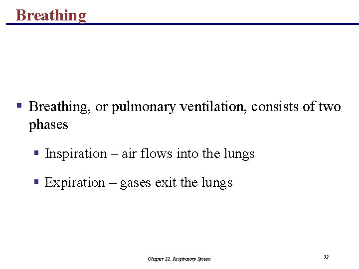 Breathing § Breathing, or pulmonary ventilation, consists of two phases § Inspiration – air