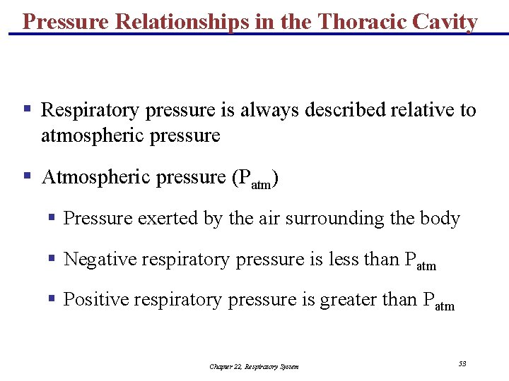 Pressure Relationships in the Thoracic Cavity § Respiratory pressure is always described relative to