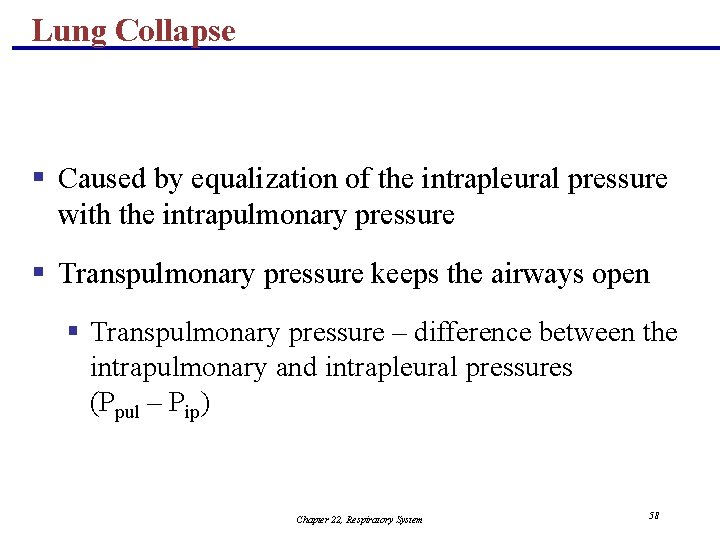 Lung Collapse § Caused by equalization of the intrapleural pressure with the intrapulmonary pressure