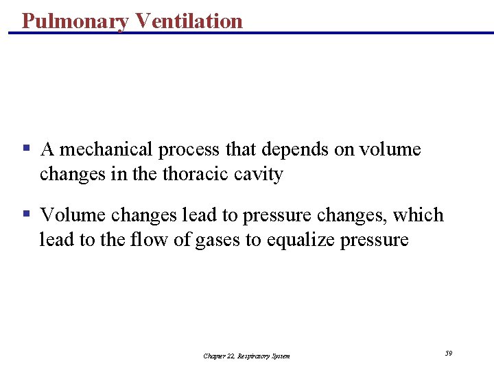 Pulmonary Ventilation § A mechanical process that depends on volume changes in the thoracic