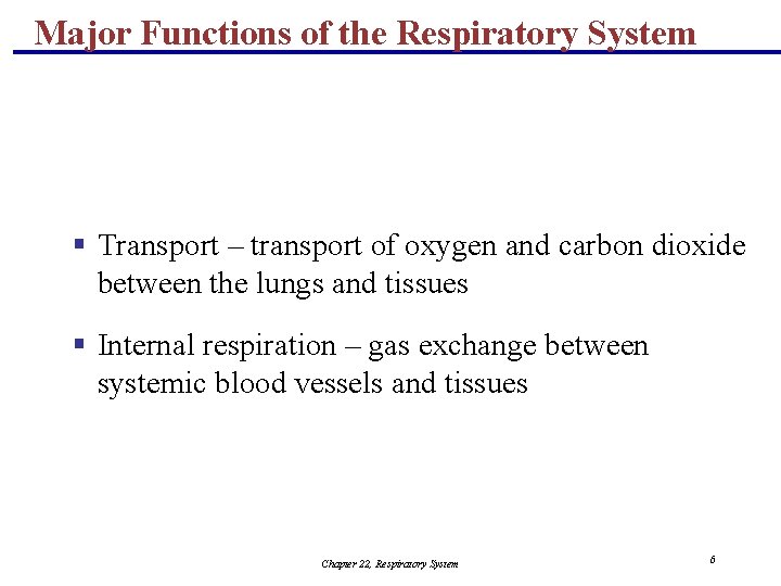 Major Functions of the Respiratory System § Transport – transport of oxygen and carbon