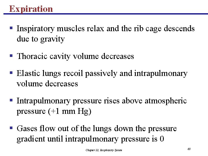 Expiration § Inspiratory muscles relax and the rib cage descends due to gravity §