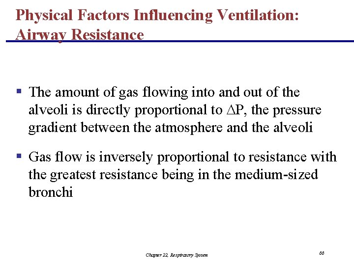 Physical Factors Influencing Ventilation: Airway Resistance § The amount of gas flowing into and