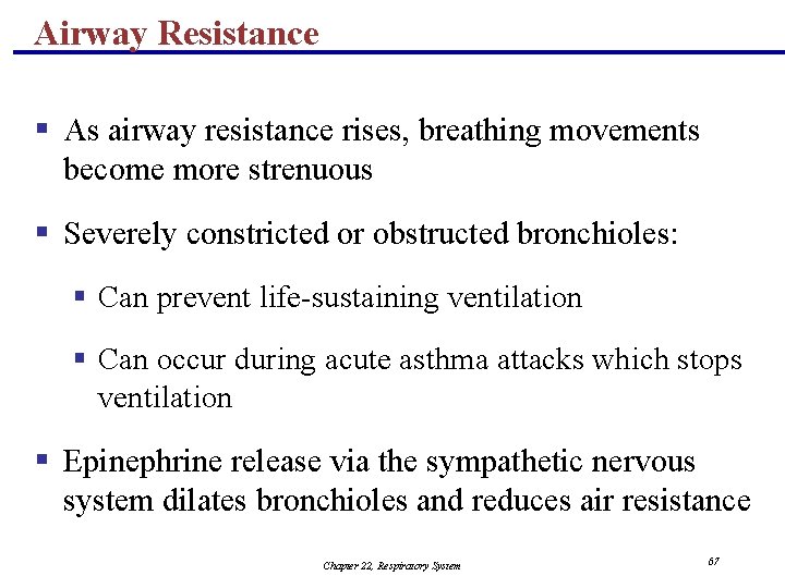 Airway Resistance § As airway resistance rises, breathing movements become more strenuous § Severely
