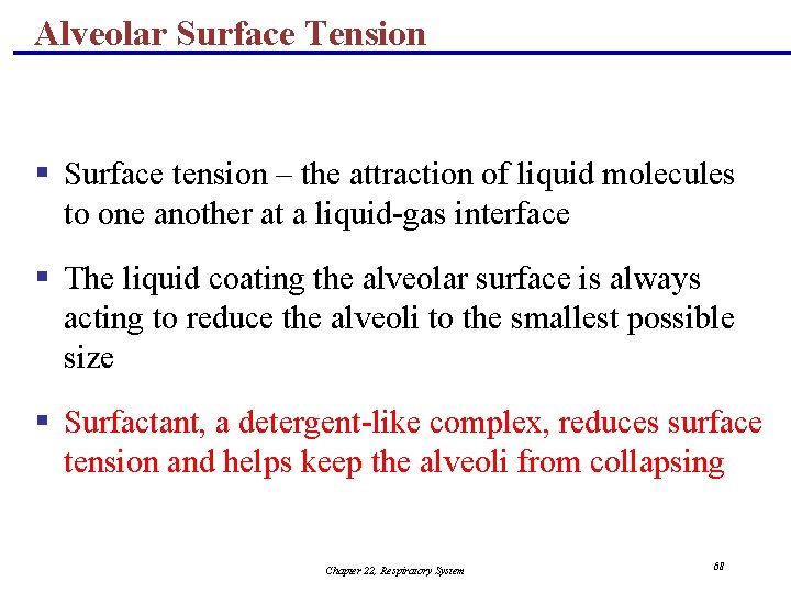 Alveolar Surface Tension § Surface tension – the attraction of liquid molecules to one