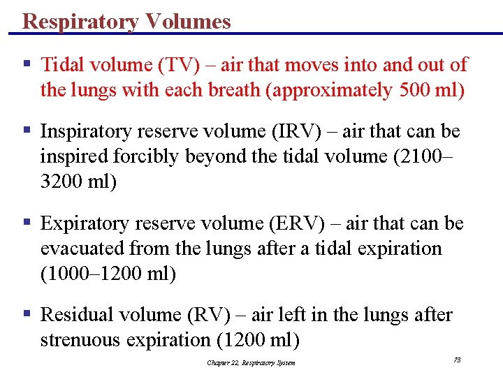 Respiratory Volumes § Tidal volume (TV) – air that moves into and out of