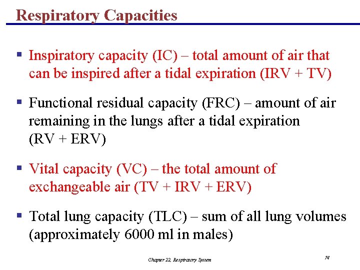 Respiratory Capacities § Inspiratory capacity (IC) – total amount of air that can be