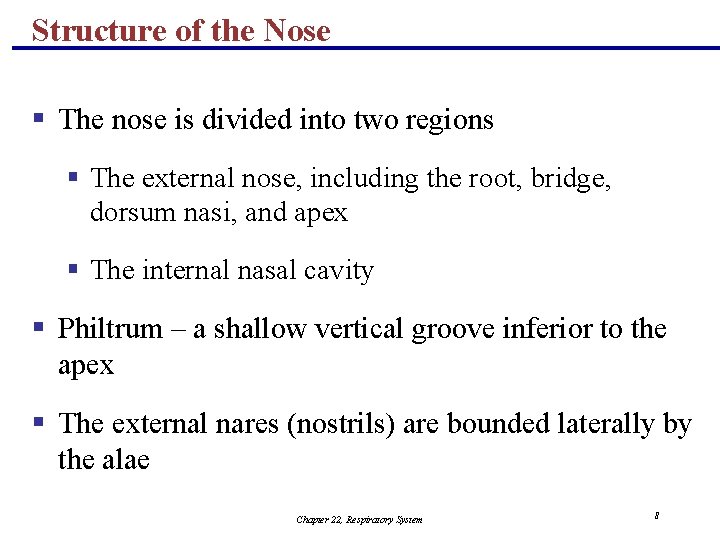 Structure of the Nose § The nose is divided into two regions § The