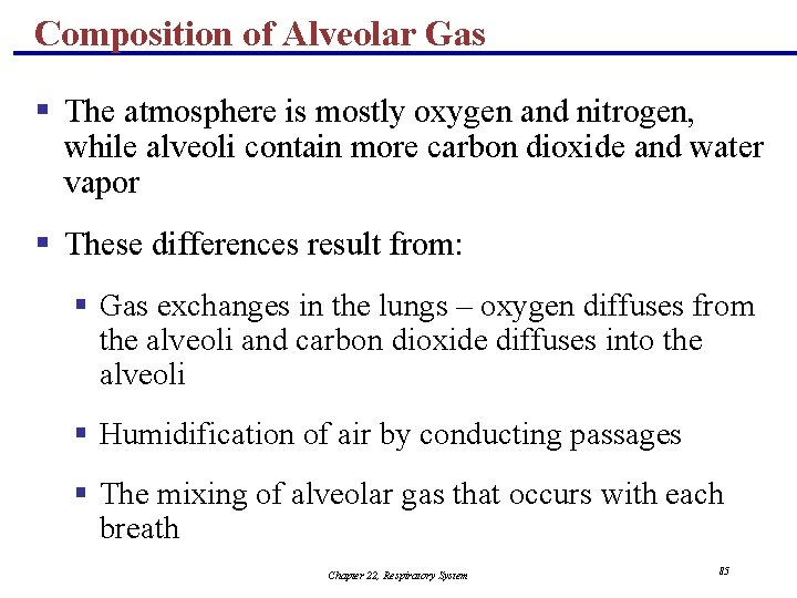 Composition of Alveolar Gas § The atmosphere is mostly oxygen and nitrogen, while alveoli