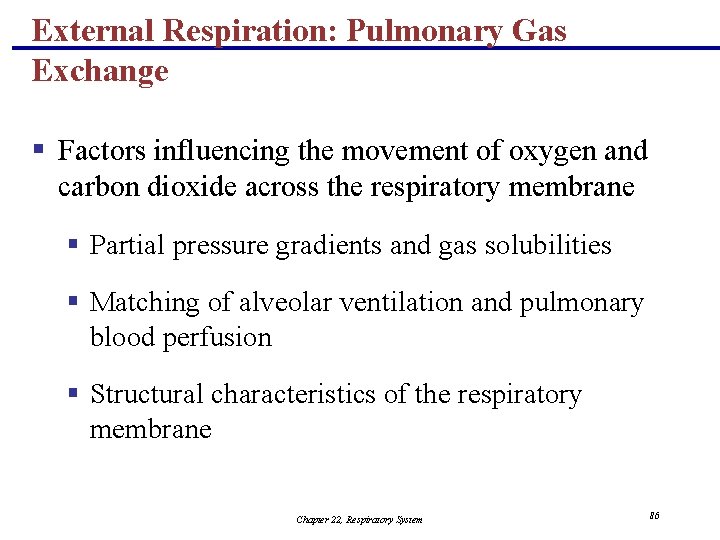 External Respiration: Pulmonary Gas Exchange § Factors influencing the movement of oxygen and carbon