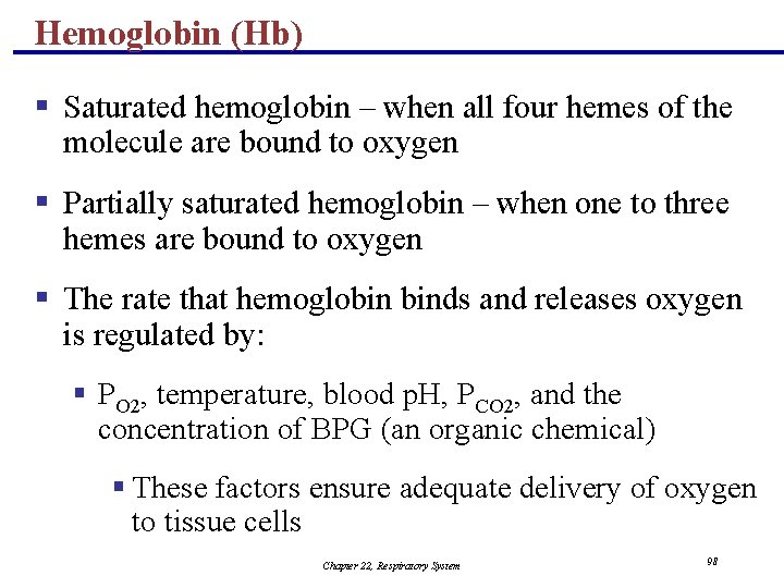 Hemoglobin (Hb) § Saturated hemoglobin – when all four hemes of the molecule are