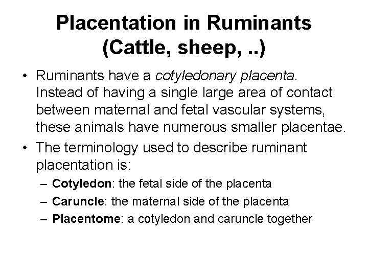 Placentation in Ruminants (Cattle, sheep, . . ) • Ruminants have a cotyledonary placenta.