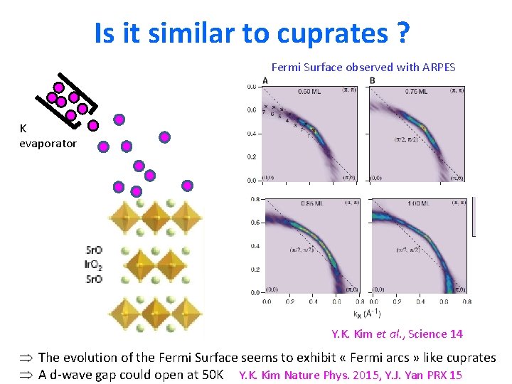 Is it similar to cuprates ? Fermi Surface observed with ARPES K evaporator Y.