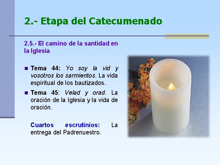 2. - Etapa del Catecumenado 2. 5. - El camino de la santidad en