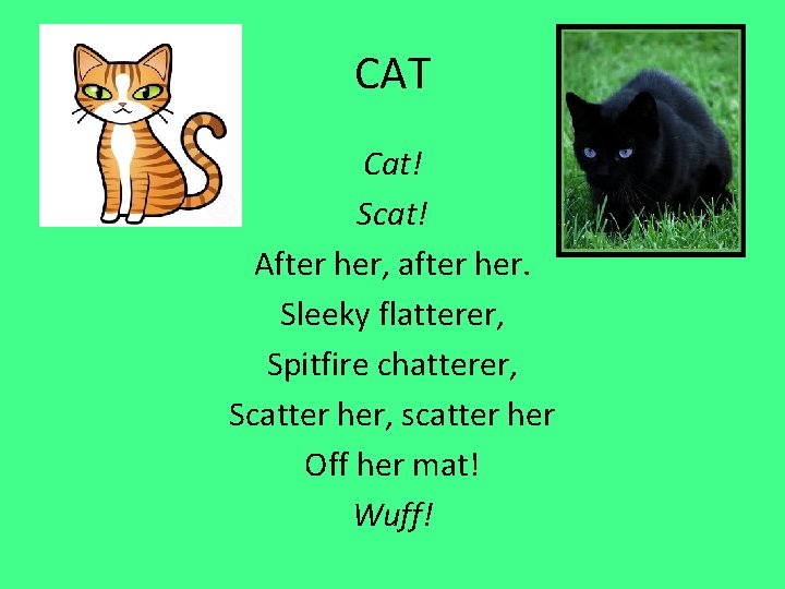 CAT Cat! Scat! After her, after her. Sleeky flatterer, Spitfire chatterer, Scatter her, scatter