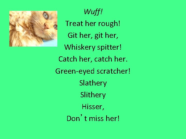 Wuff! Treat her rough! Git her, git her, Whiskery spitter! Catch her, catch her.