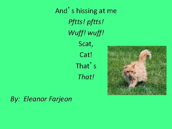 And’s hissing at me Pftts! pftts! Wuff! wuff! Scat, Cat! That’s That! By: Eleanor