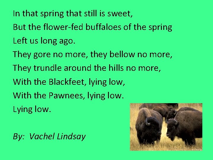 In that spring that still is sweet, But the flower-fed buffaloes of the spring