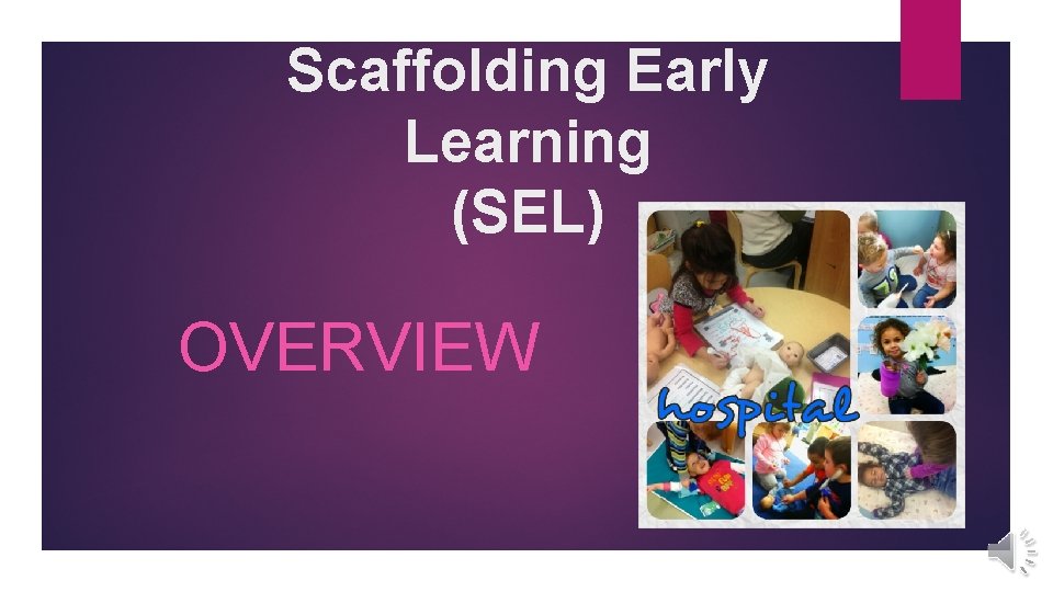 Scaffolding Early Learning (SEL) OVERVIEW 