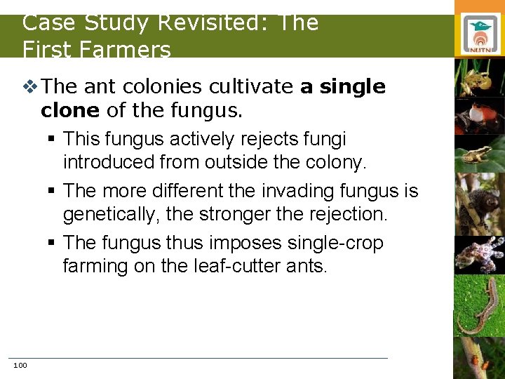 Case Study Revisited: The First Farmers v The ant colonies cultivate a single clone