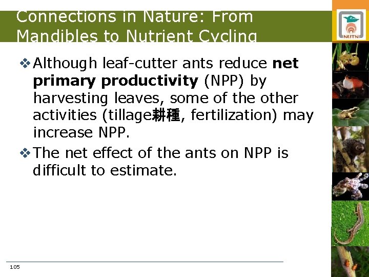 Connections in Nature: From Mandibles to Nutrient Cycling v Although leaf-cutter ants reduce net