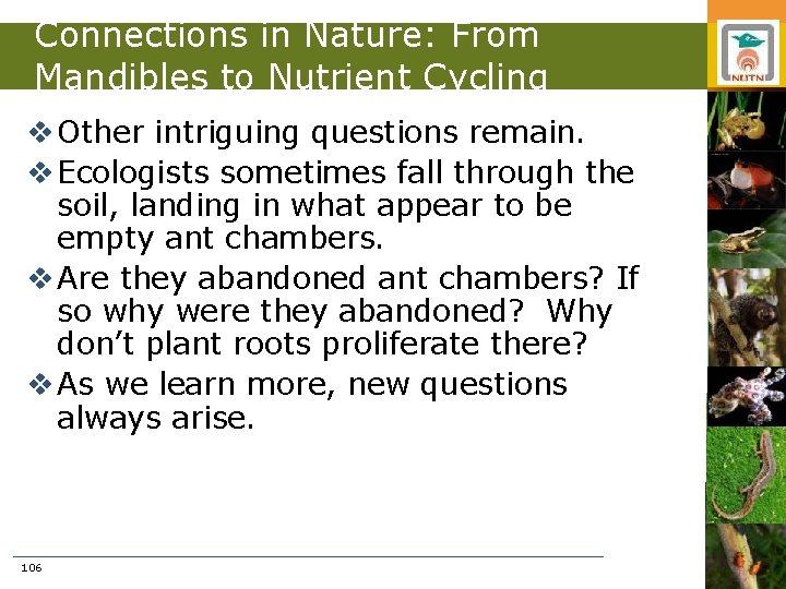 Connections in Nature: From Mandibles to Nutrient Cycling v Other intriguing questions remain. v