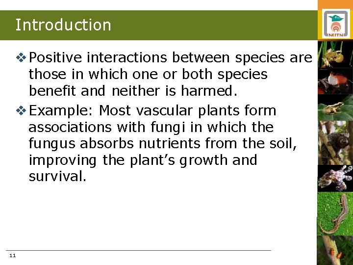 Introduction v Positive interactions between species are those in which one or both species