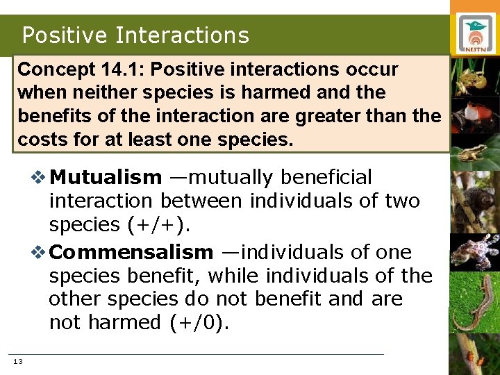 Positive Interactions Concept 14. 1: Positive interactions occur when neither species is harmed and
