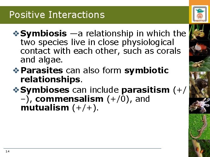 Positive Interactions v Symbiosis —a relationship in which the two species live in close