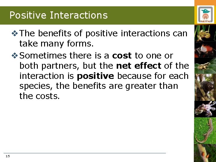 Positive Interactions v The benefits of positive interactions can take many forms. v Sometimes