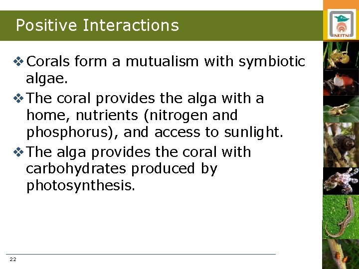 Positive Interactions v Corals form a mutualism with symbiotic algae. v The coral provides