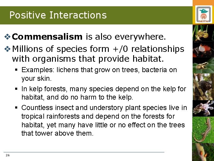Positive Interactions v Commensalism is also everywhere. v Millions of species form +/0 relationships