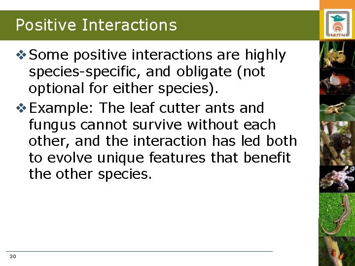 Positive Interactions v Some positive interactions are highly species-specific, and obligate (not optional for